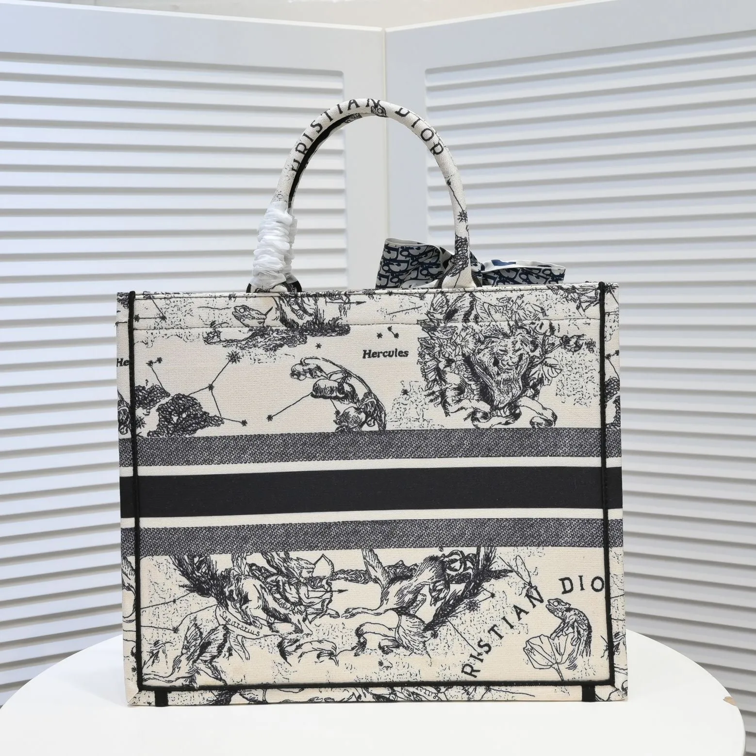 Designer Handbags DR 296