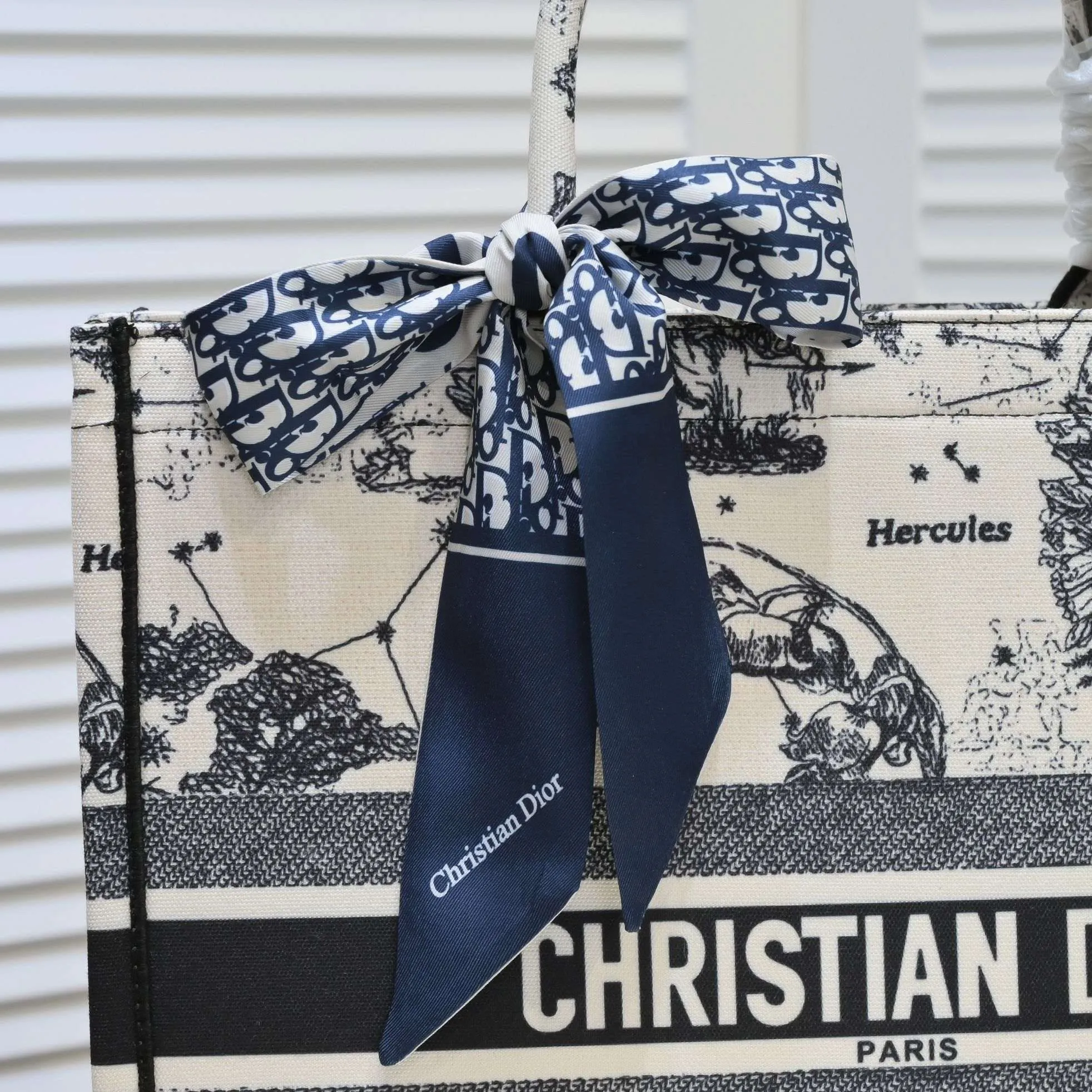 Designer Handbags DR 296