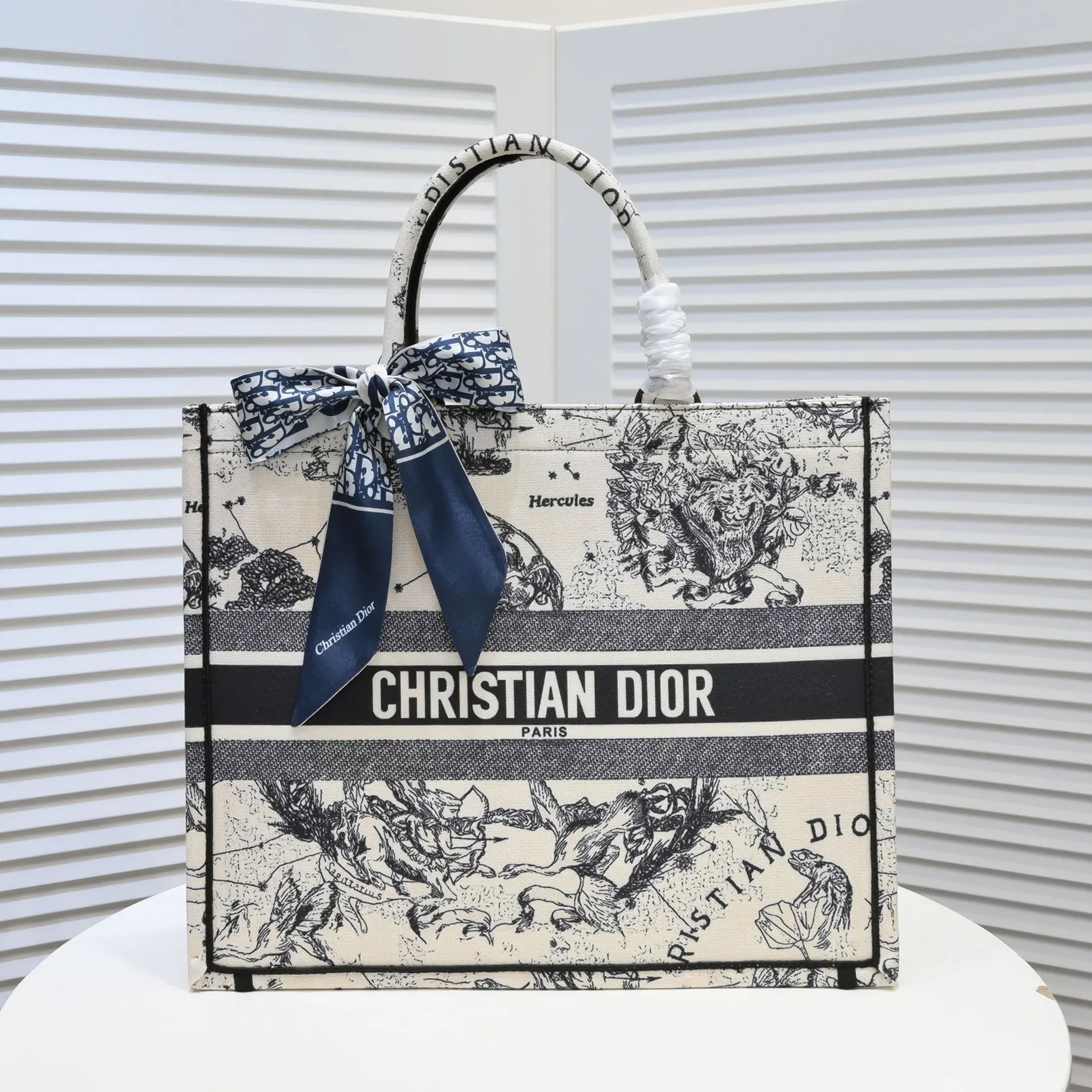 Designer Handbags DR 296