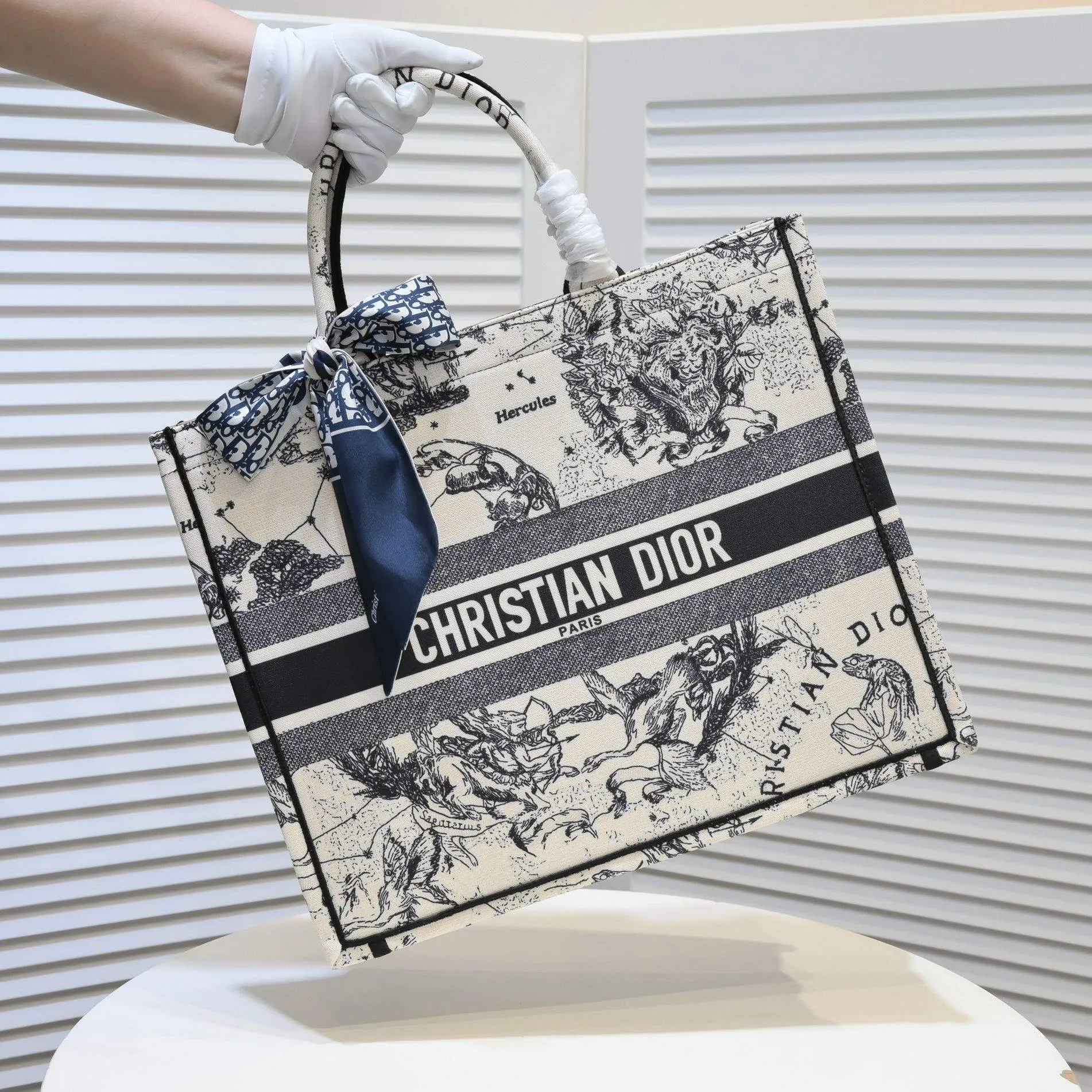 Designer Handbags DR 296